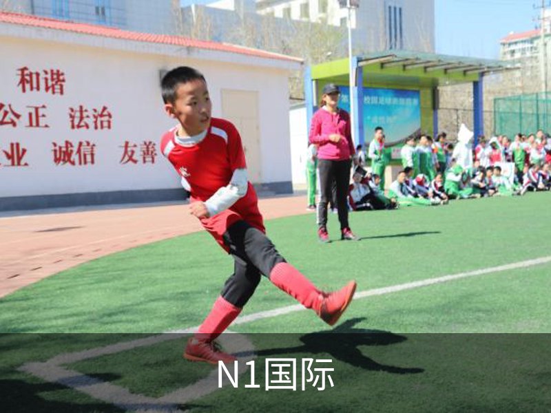 N1国际概况